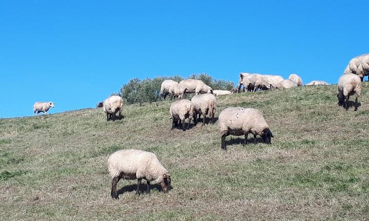 Fahrhaus Kirschenland